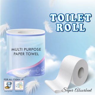 Soft 2 Ply Toilet Tissue Roll for Bathroom and Washroom Use