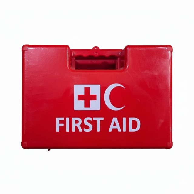 SAFETY FIRST AID GKB301 EUROPEAN STANDARD FIRST AID KIT FOR 25 PEOPLE WITH WALL MOUNT